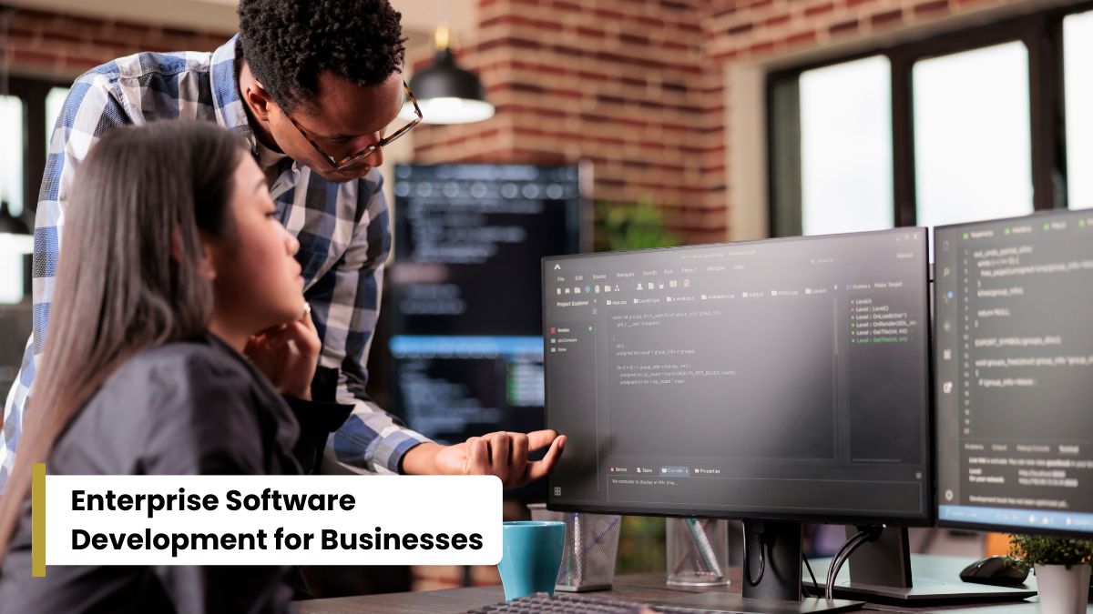 Enterprise Software Development for Businesses